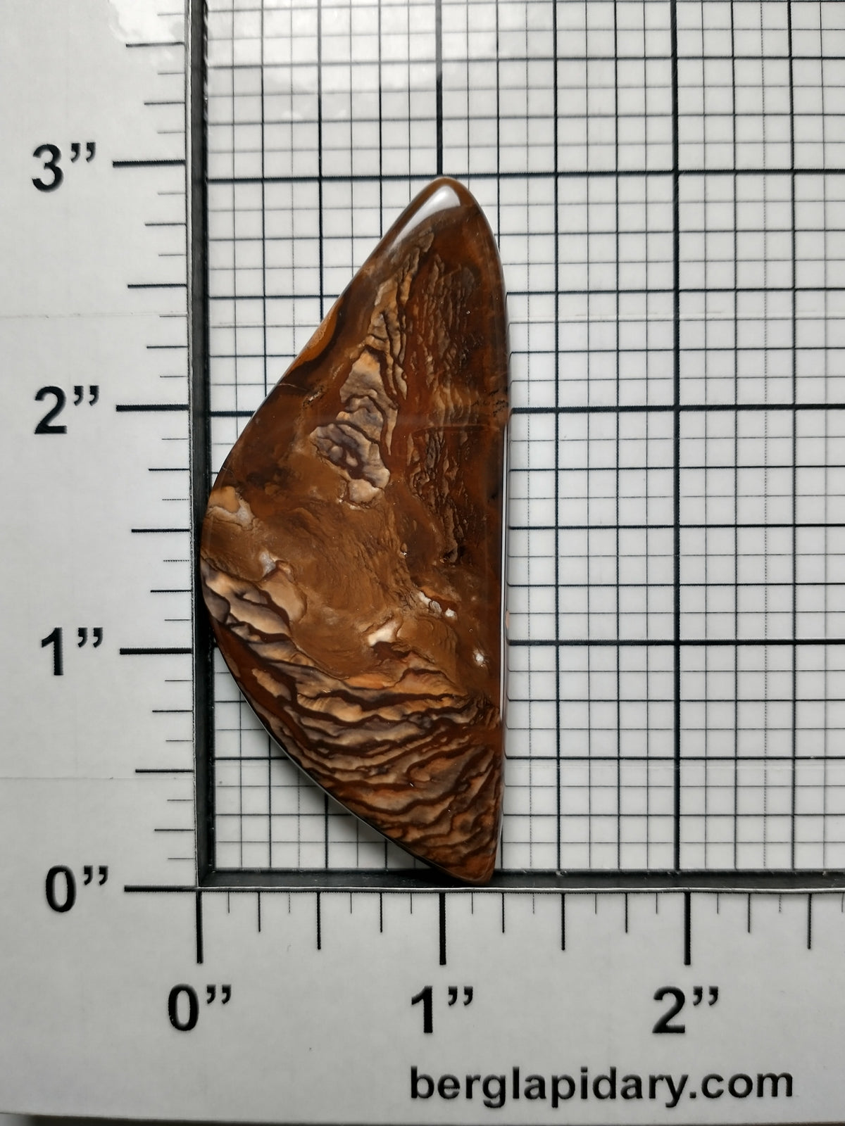 Biggs Jasper Cabochon X Large