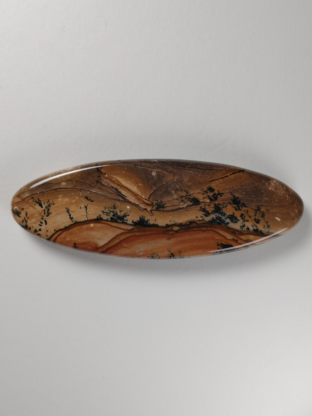 Biggs Jasper Cabochon X Large