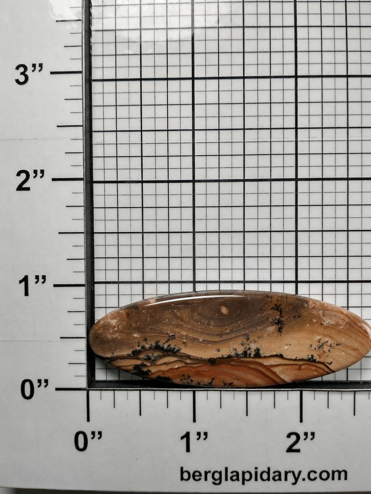 Biggs Jasper Cabochon X Large