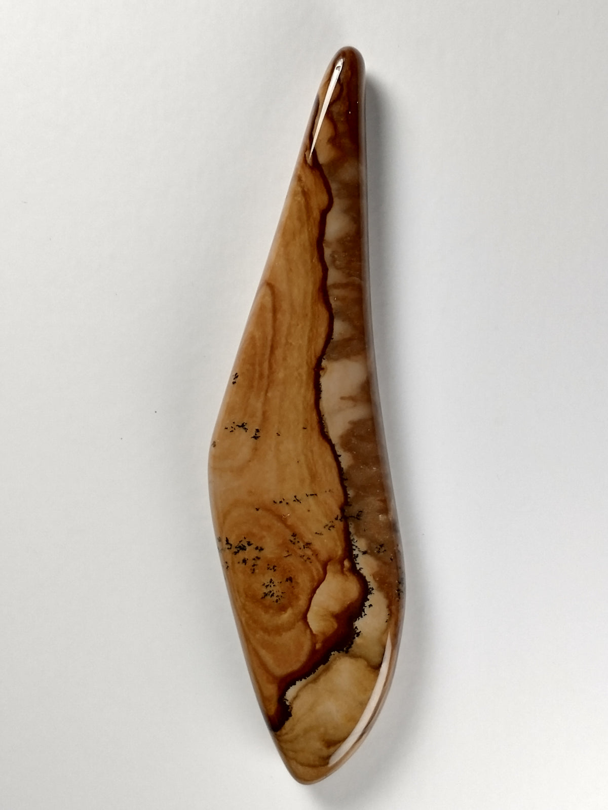 Biggs Jasper Cabochon X Large
