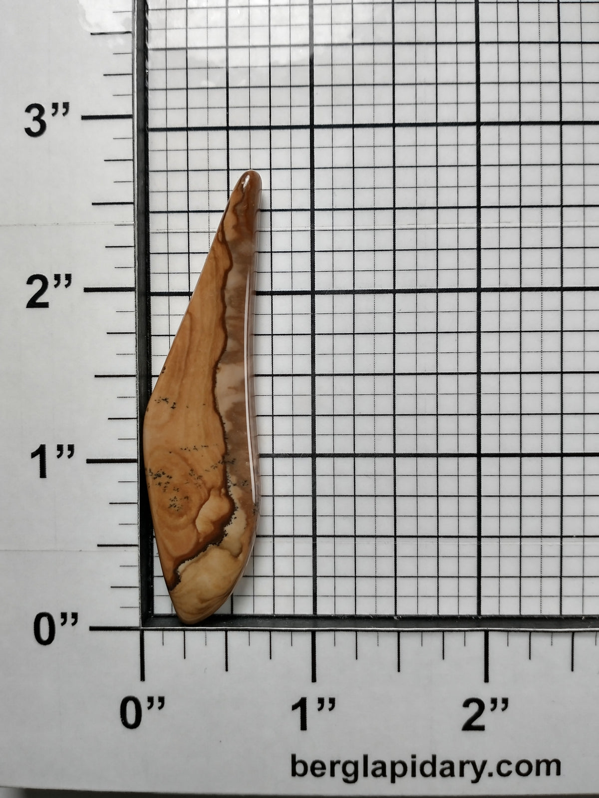 Biggs Jasper Cabochon X Large