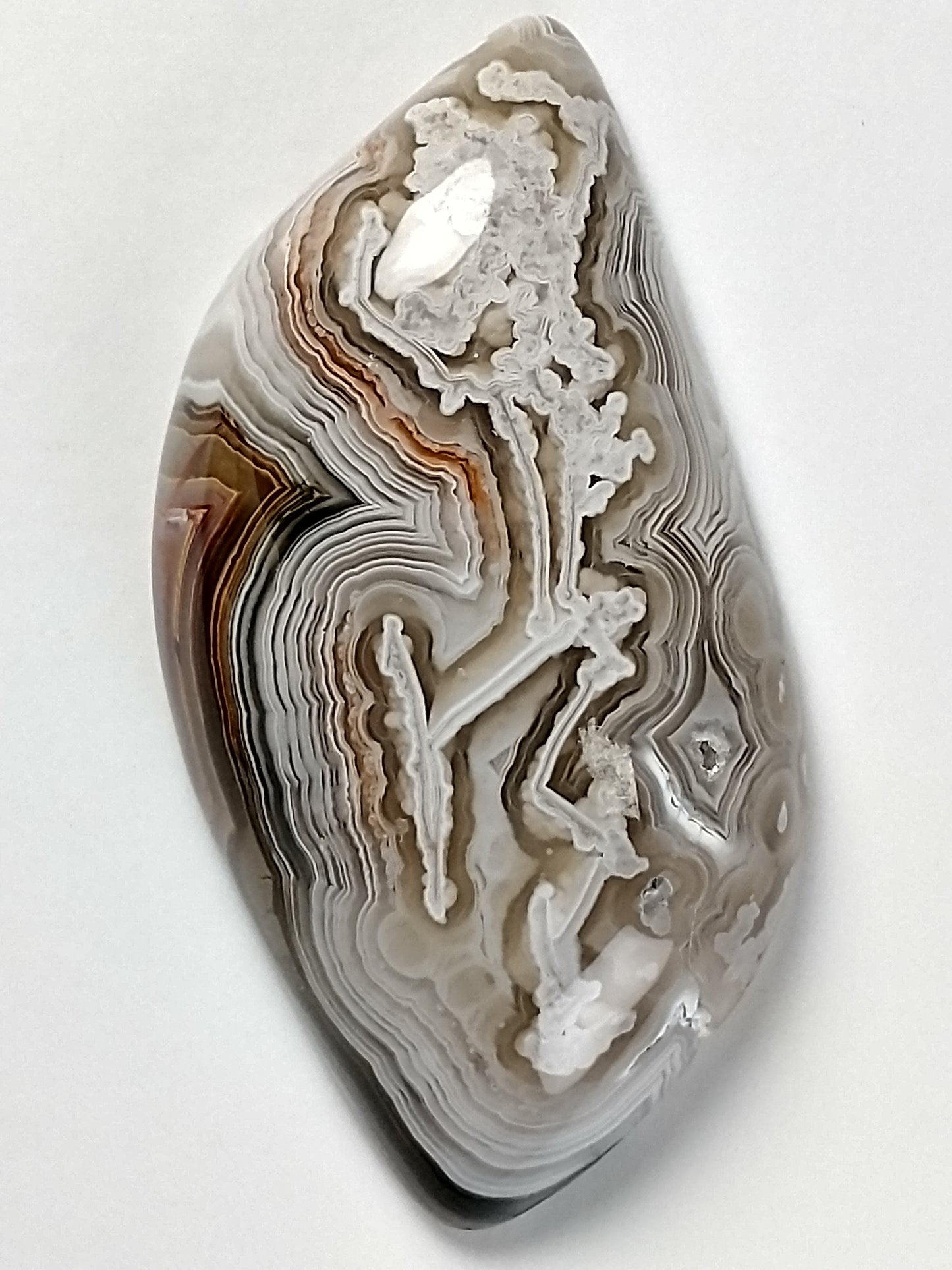 Crazy Lace Agate Cabochon Medium