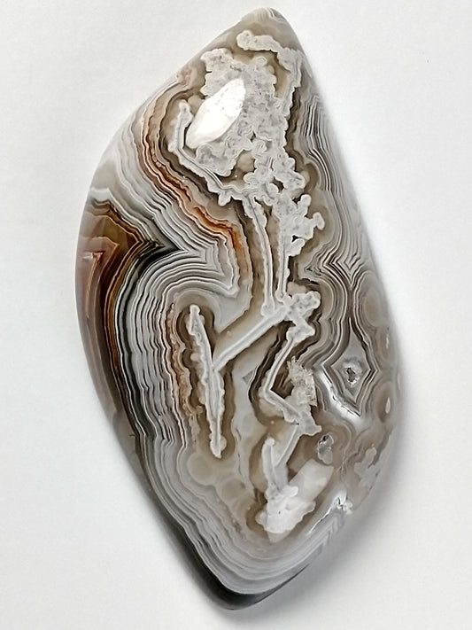 Crazy Lace Agate Cabochon Medium