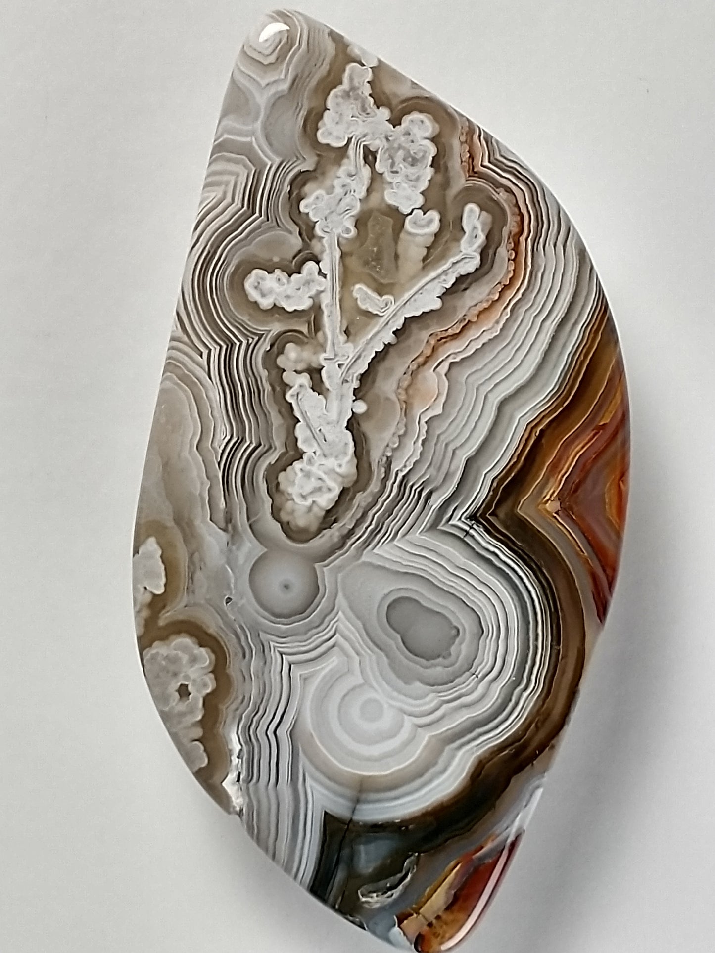Crazy Lace Agate Cabochon Medium