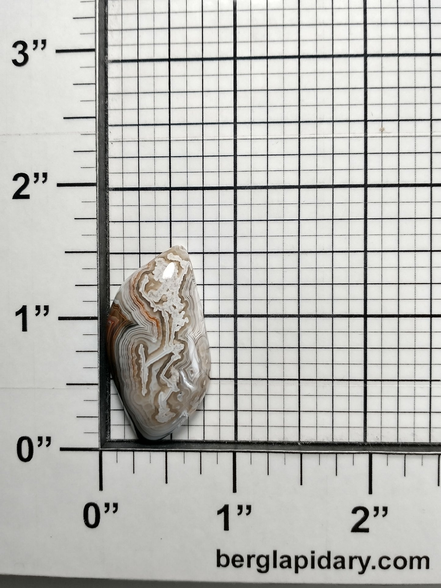 Crazy Lace Agate Cabochon Medium
