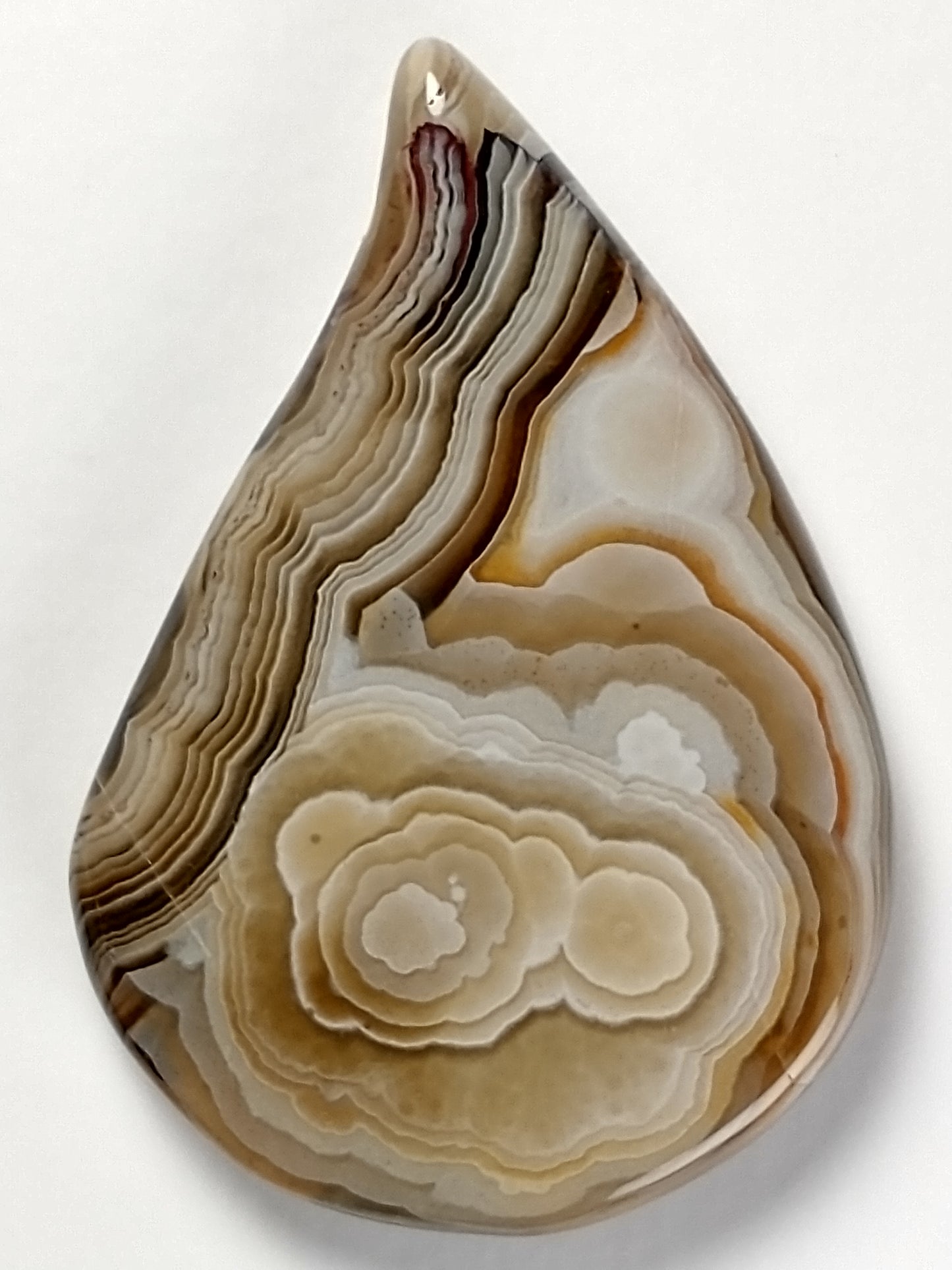 Crazy Lace Agate Cabochon Medium