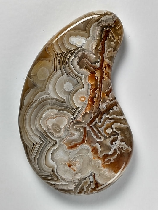 Crazy Lace Agate Cabochon Large