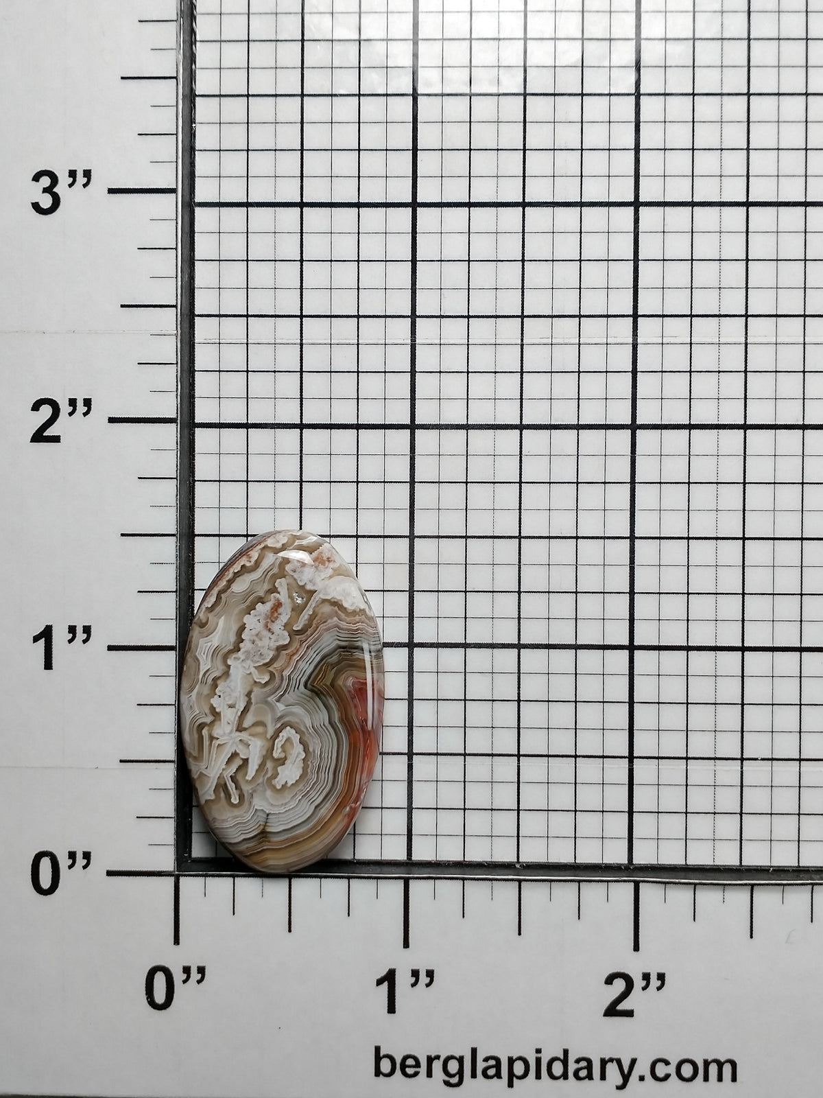 Crazy Lace Agate Cabochon Small