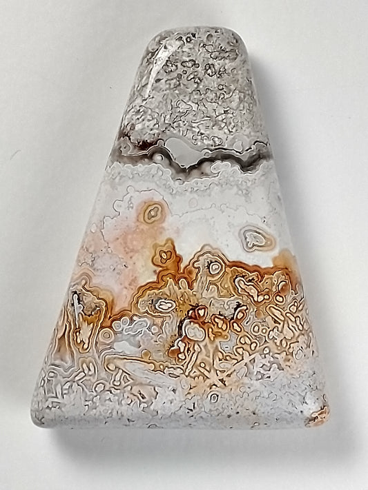 Crazy Lace Agate Cabochon Medium