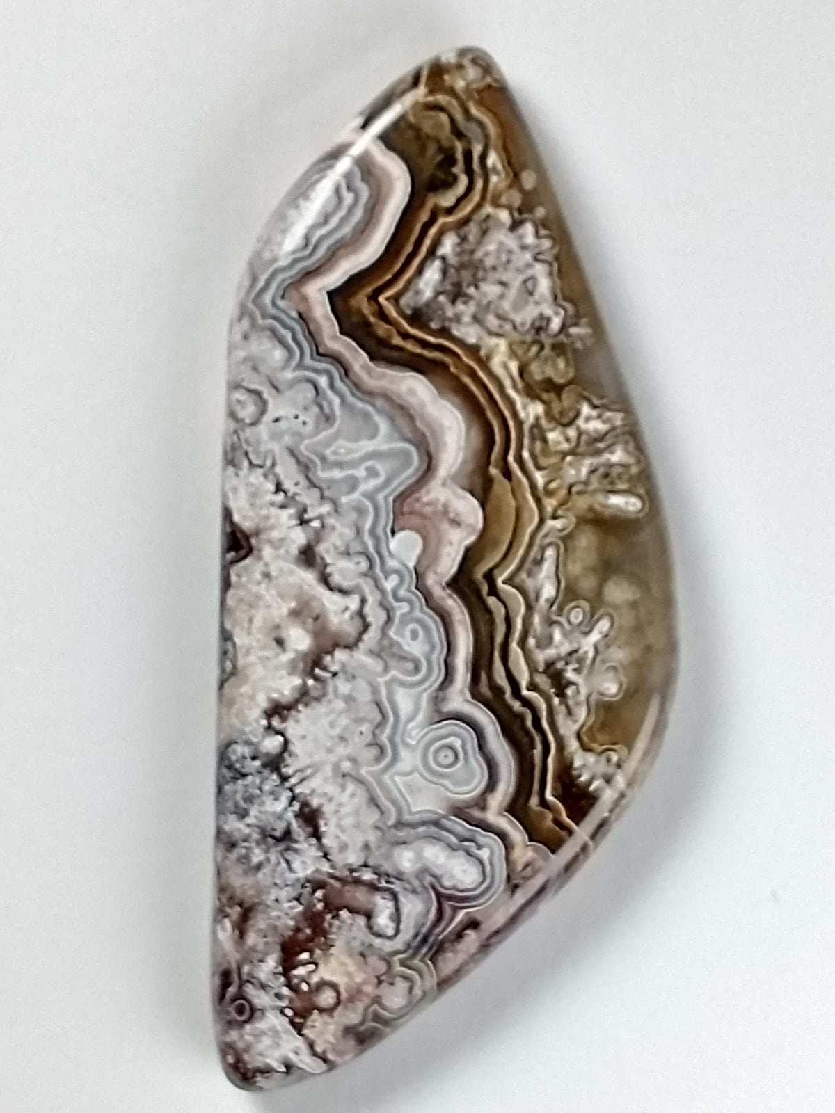 Crazy Lace Agate Cabochon Medium