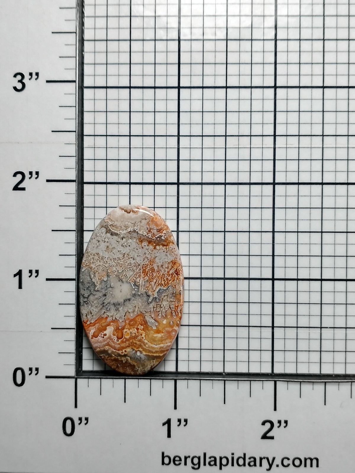 Crazy Lace Agate Cabochon Medium