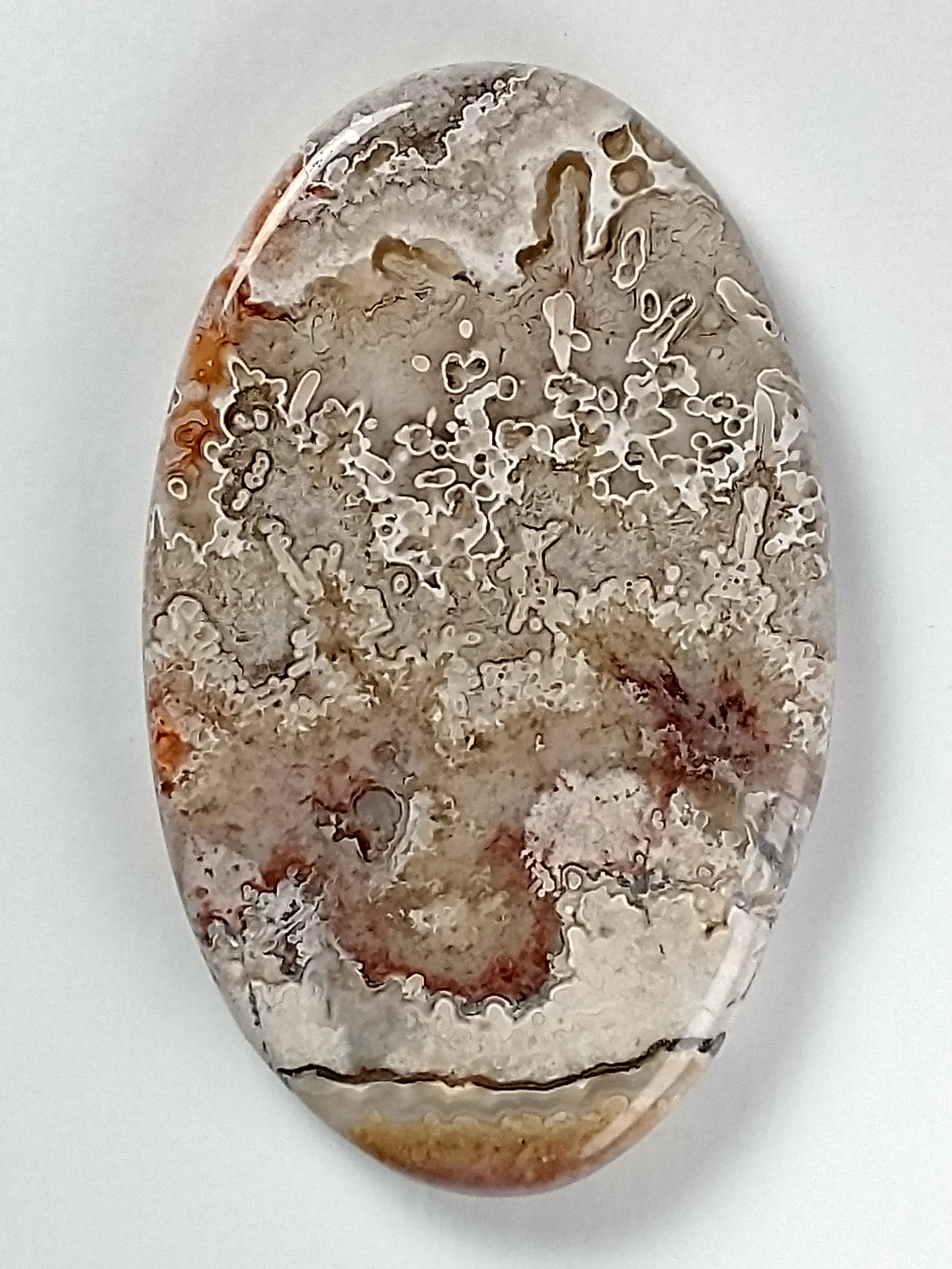 Crazy Lace Agate Cabochon Medium