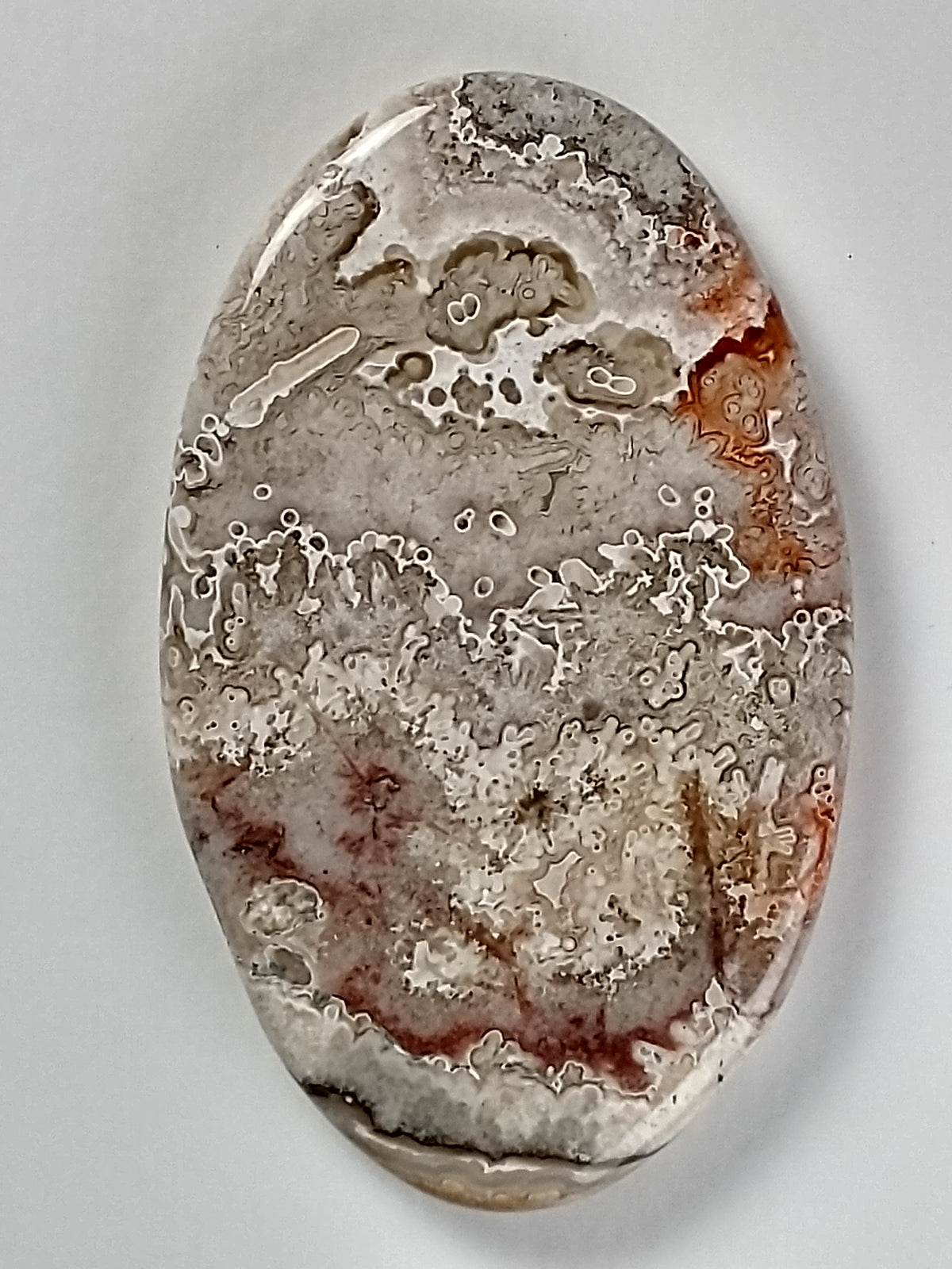 Crazy Lace Agate Cabochon Medium