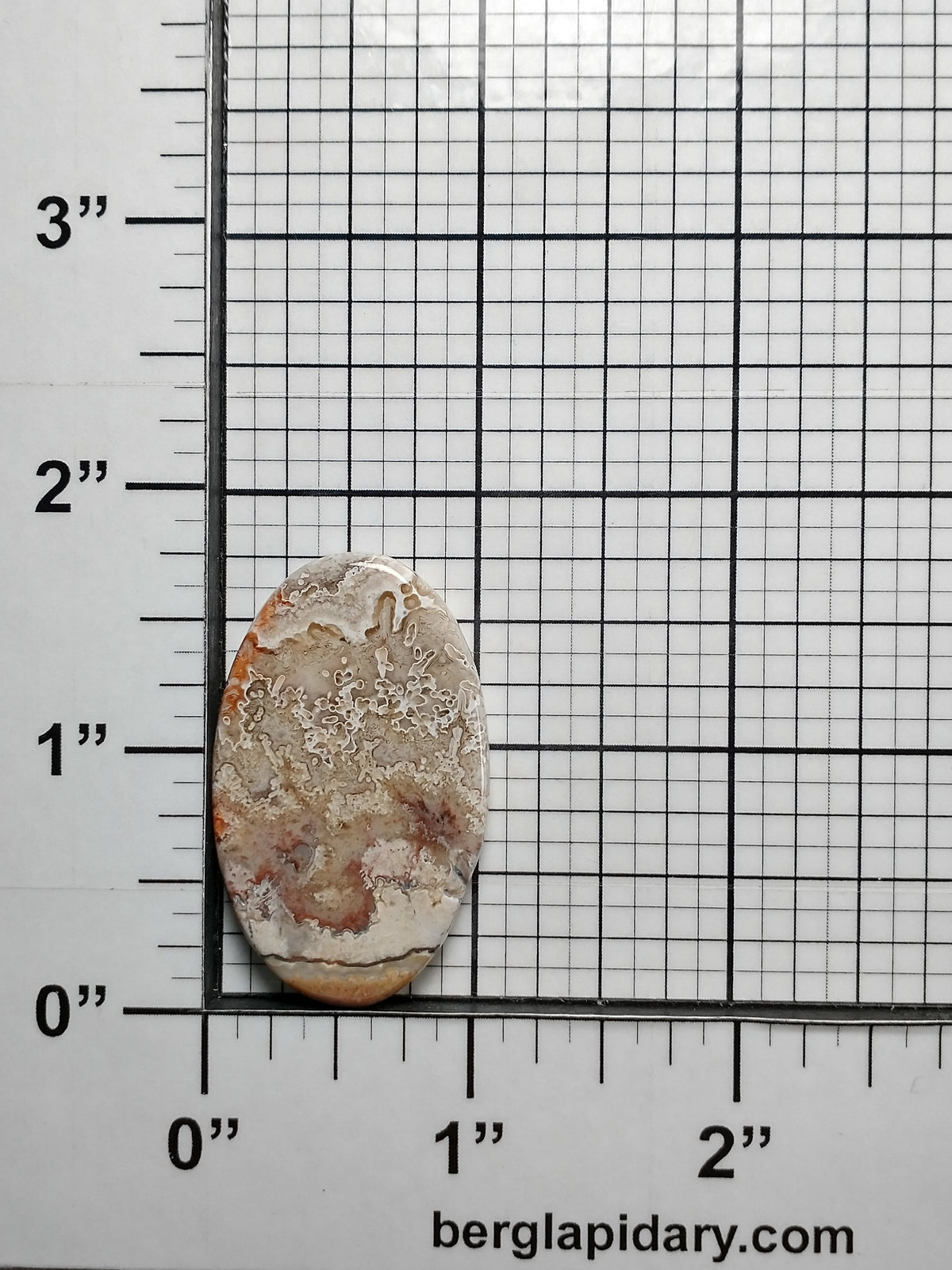 Crazy Lace Agate Cabochon Medium