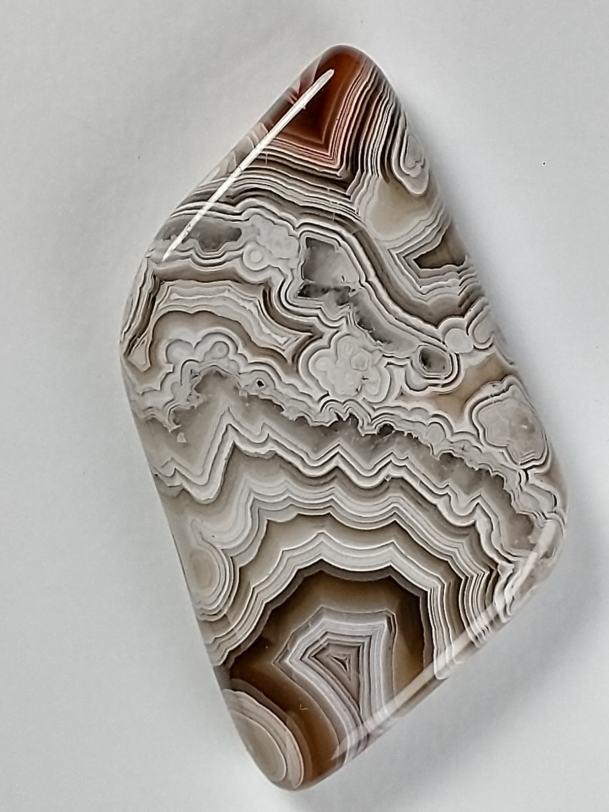 Crazy Lace Agate Cabochon Medium