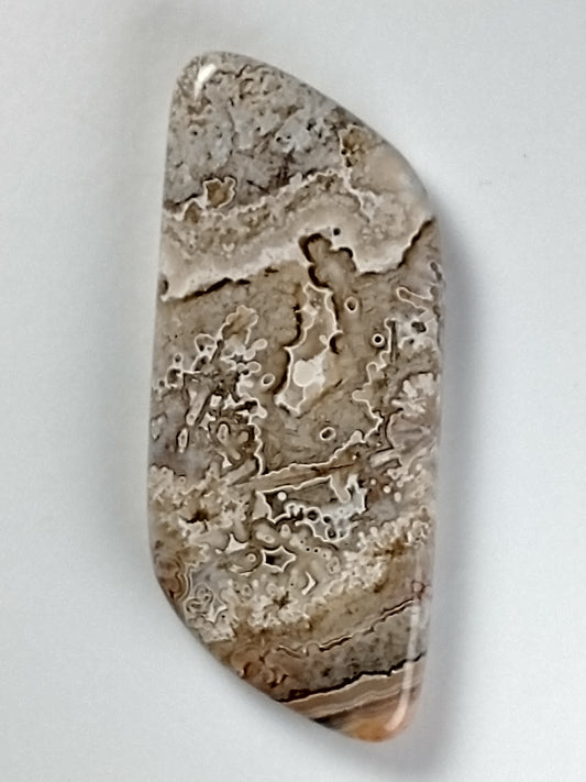 Crazy Lace Agate Cabochon Medium