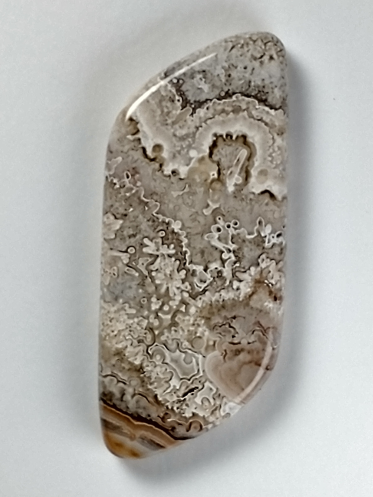 Crazy Lace Agate Cabochon Medium