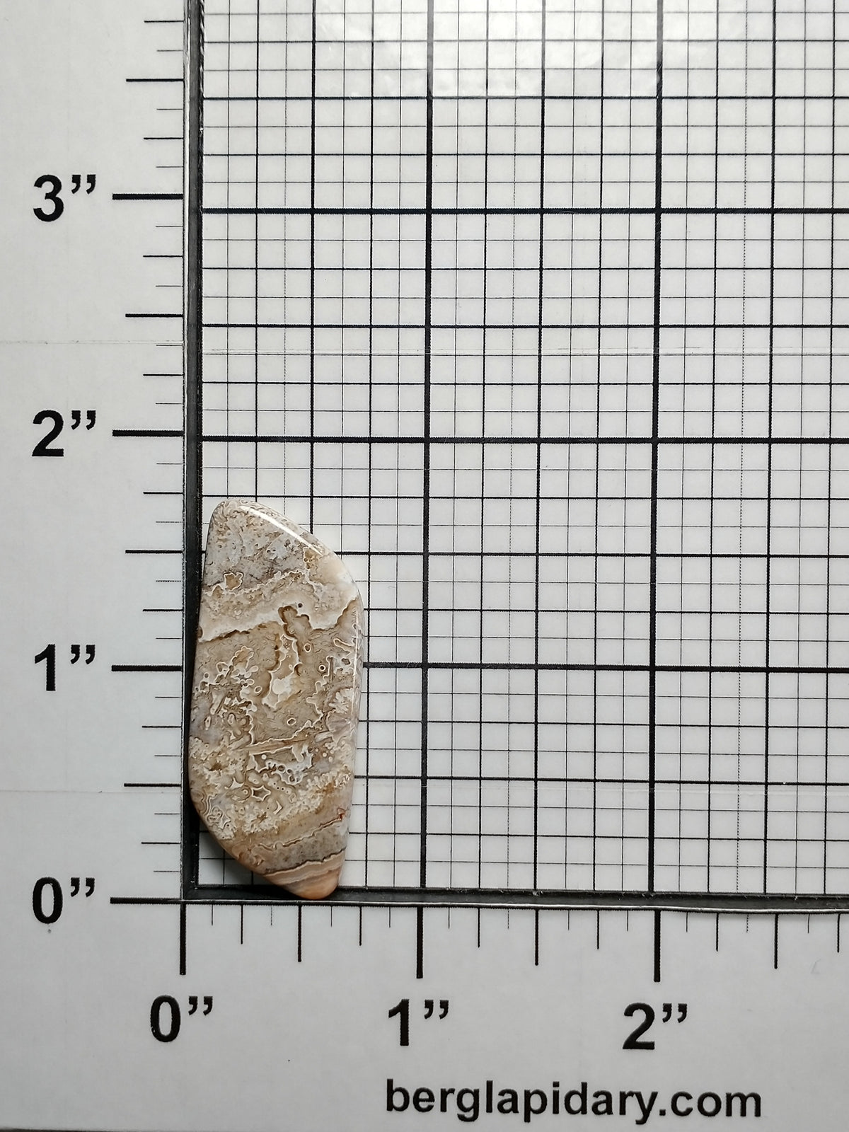 Crazy Lace Agate Cabochon Medium