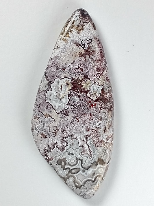 Crazy Lace Agate Cabochon Medium