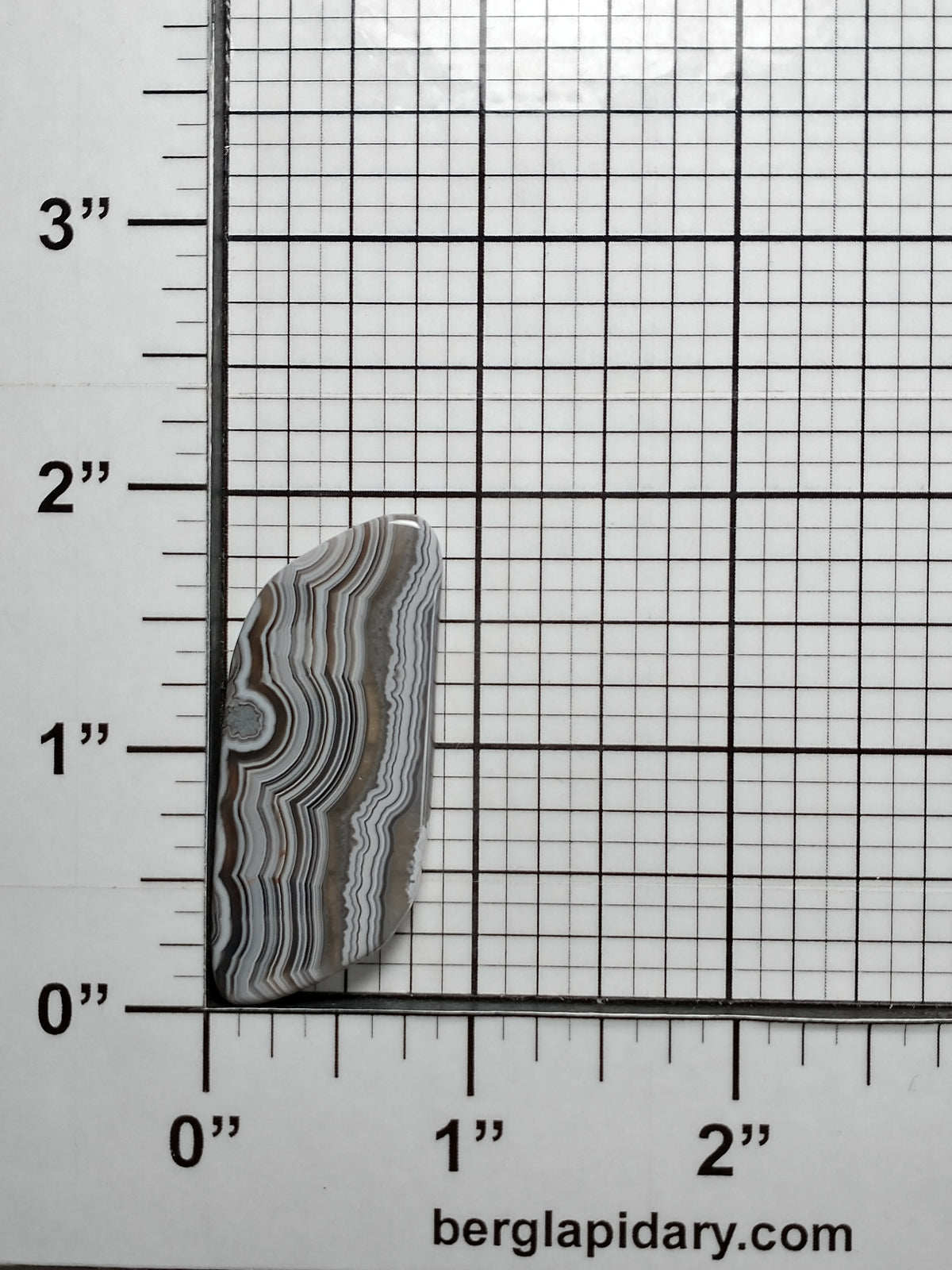 Crazy Lace Agate Cabochon Medium