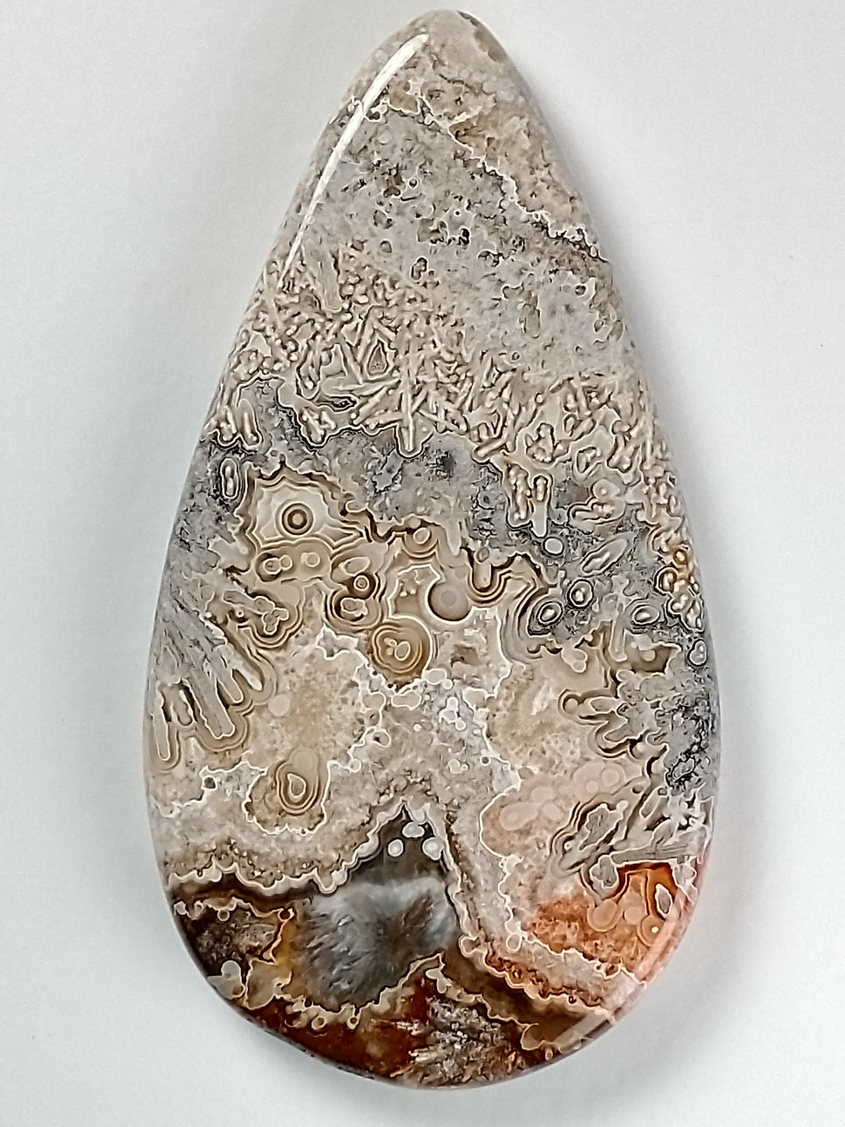 Crazy Lace Agate Cabochon Large