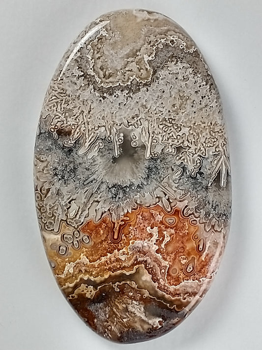 Crazy Lace Agate Cabochon Large