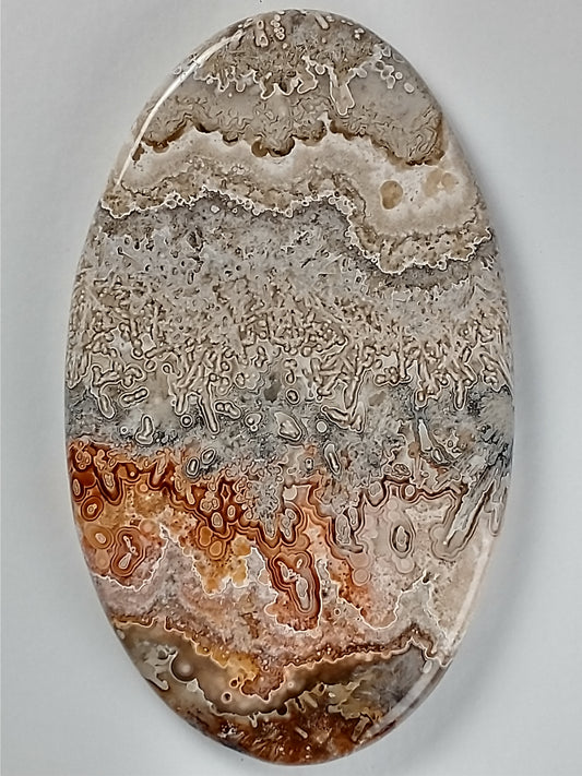 Crazy Lace Agate Cabochon Large