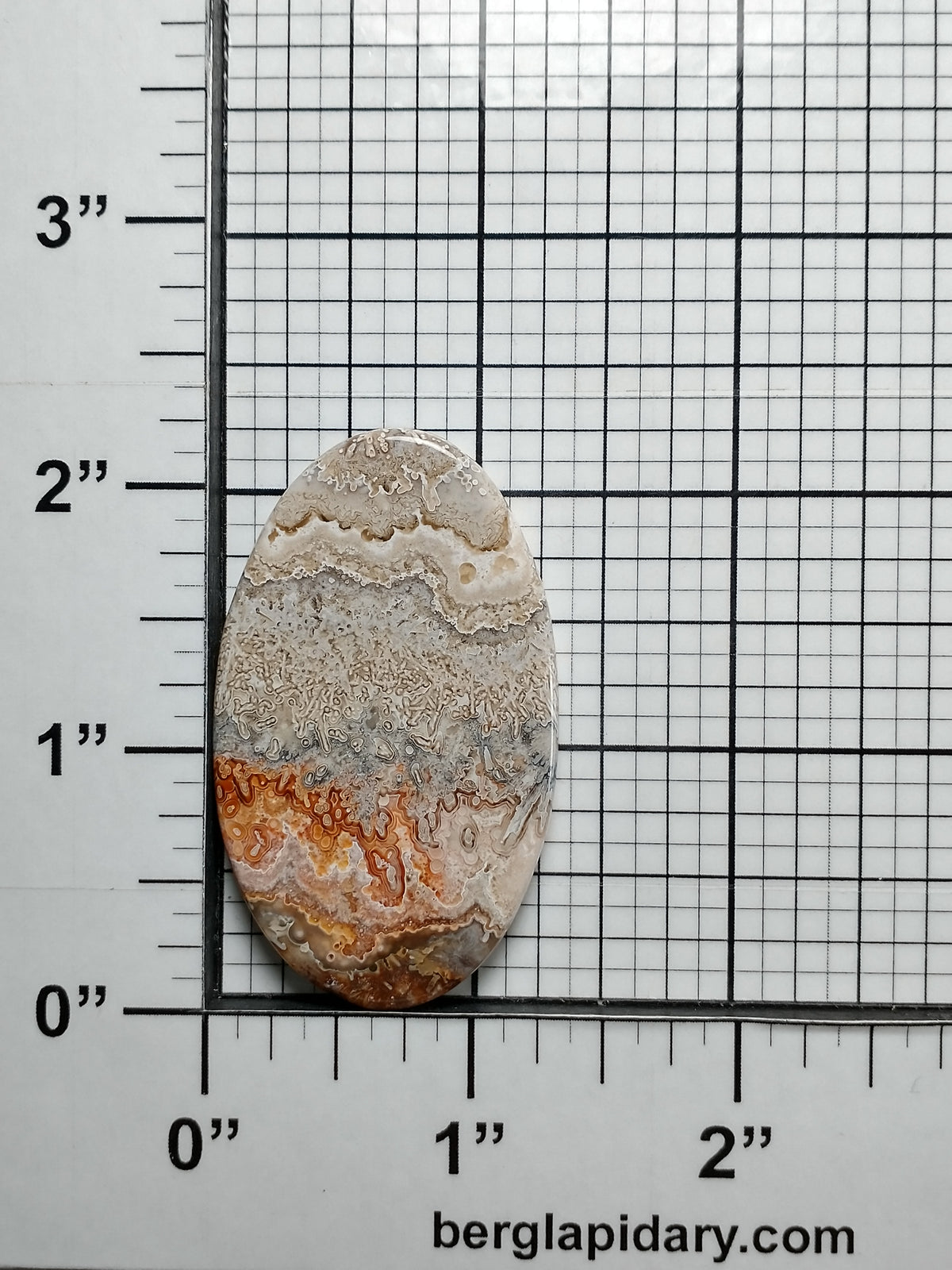 Crazy Lace Agate Cabochon Large