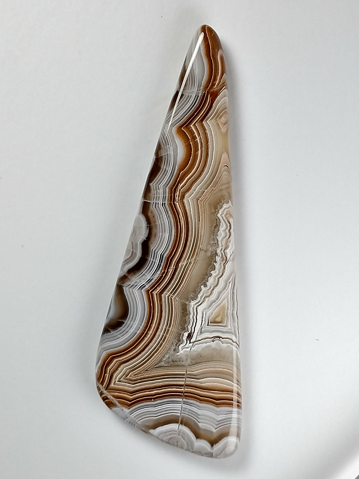 Crazy Lace Agate Cabochon X Large