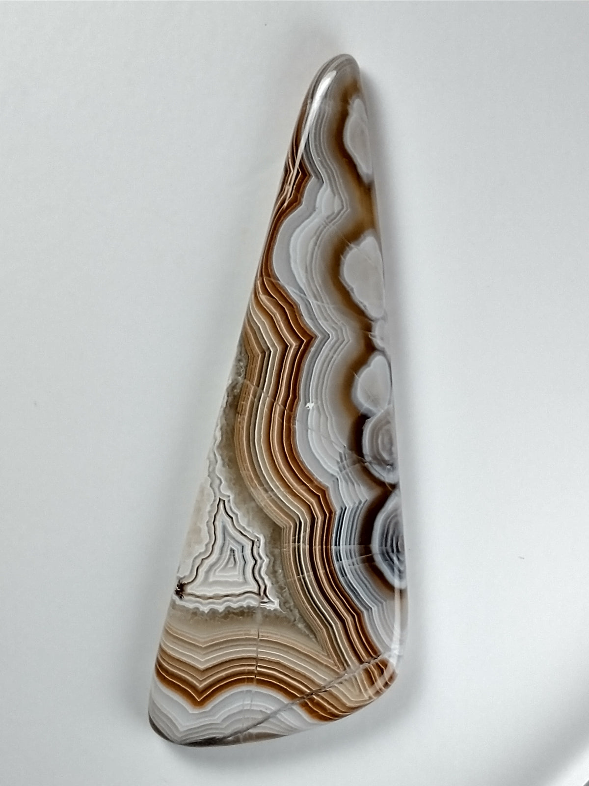 Crazy Lace Agate Cabochon X Large