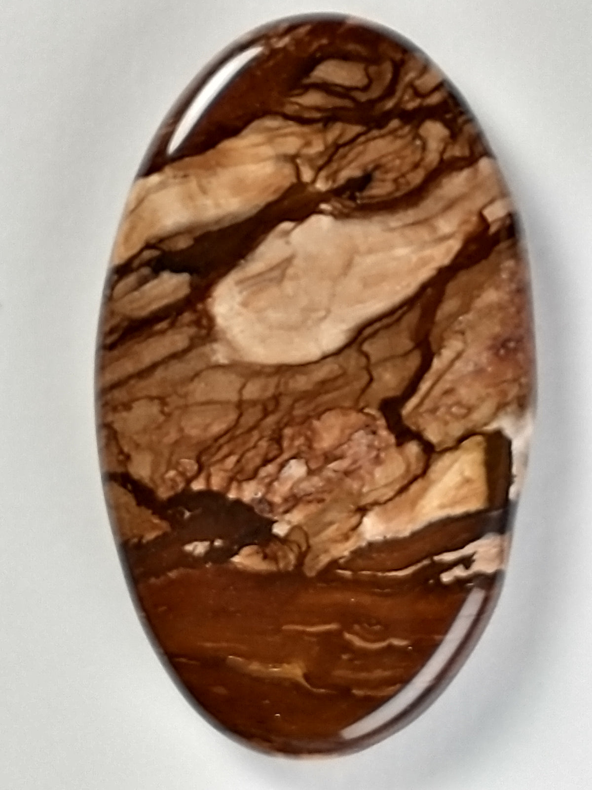 Deschutes Jasper Cabochon Medium