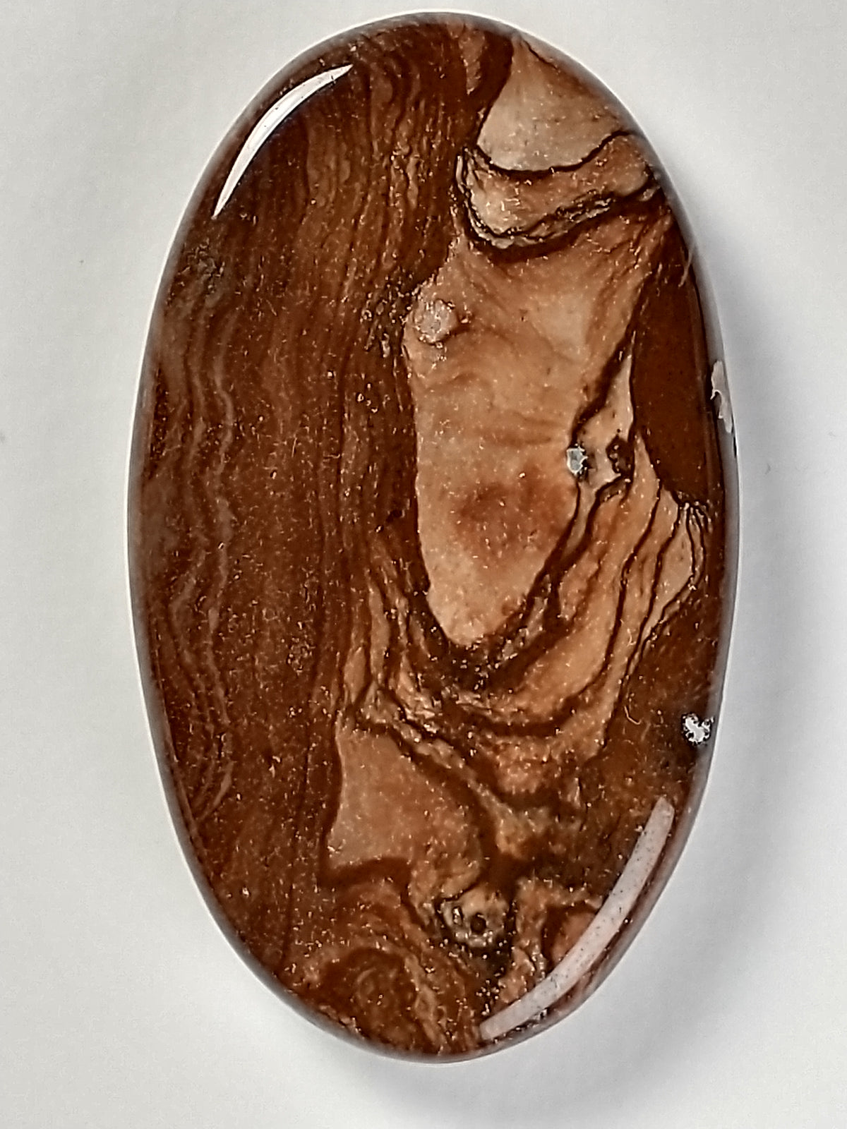 Deschutes Jasper Cabochon Medium