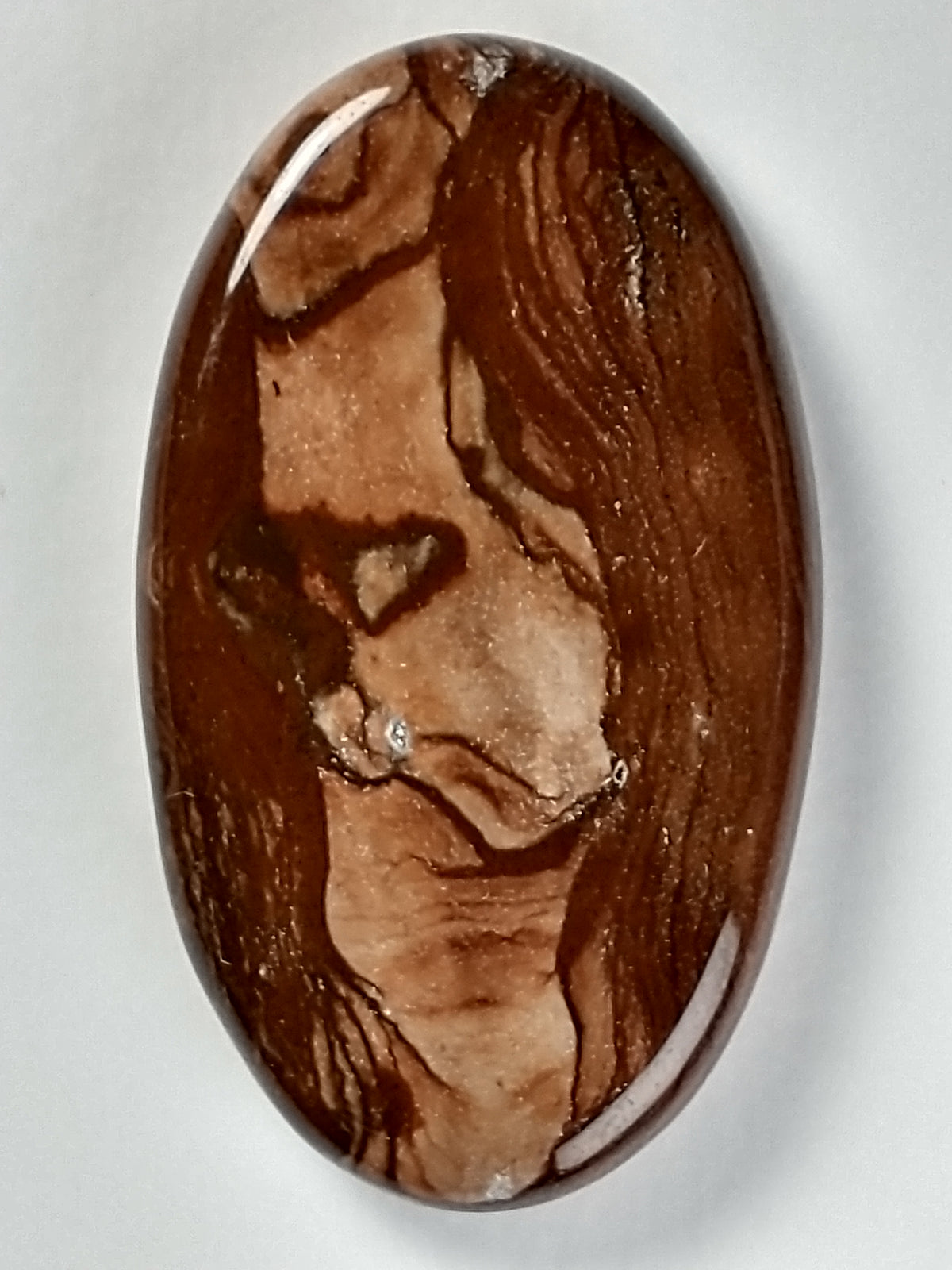 Deschutes Jasper Cabochon Medium
