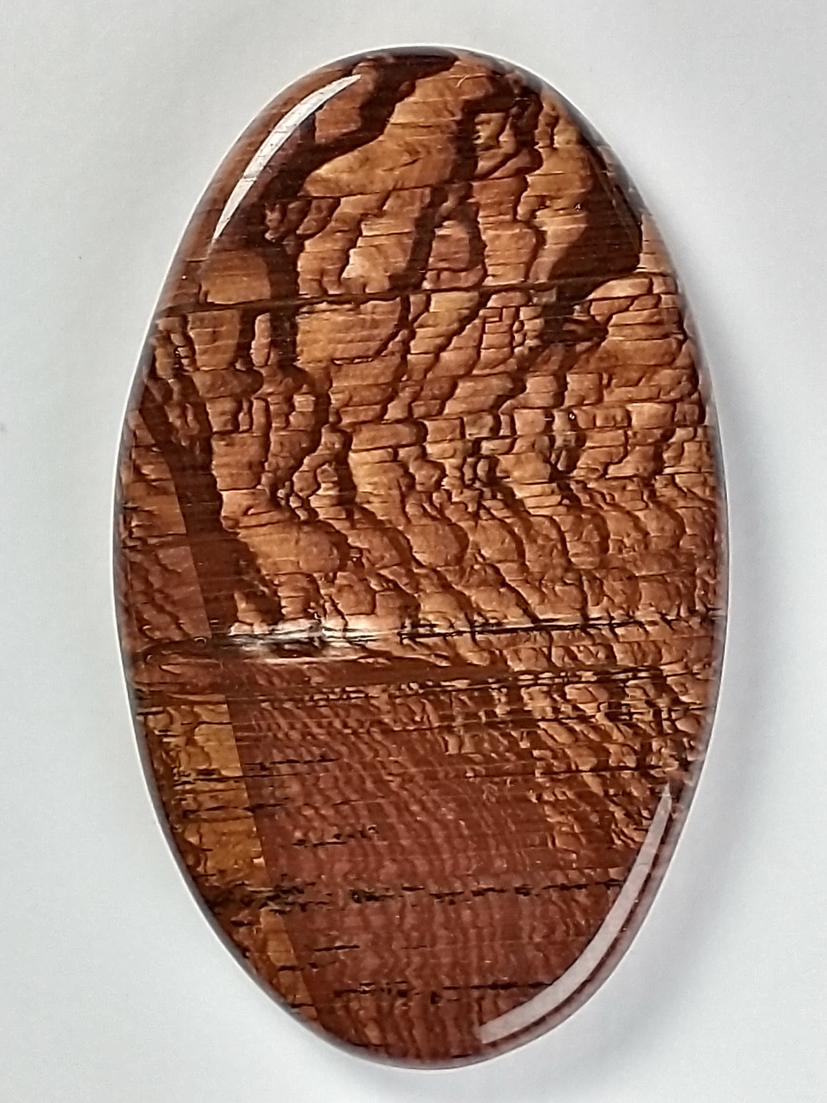 Deschutes Jasper Cabochon Medium