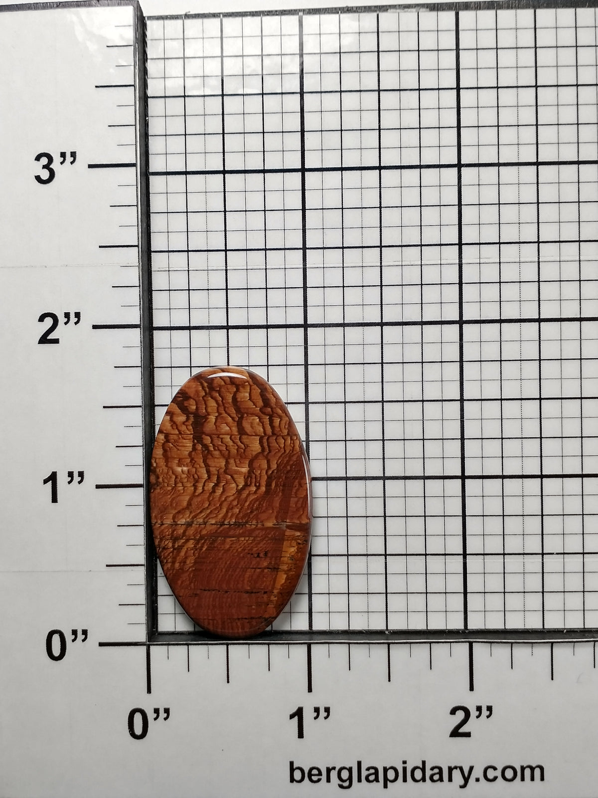 Deschutes Jasper Cabochon Medium