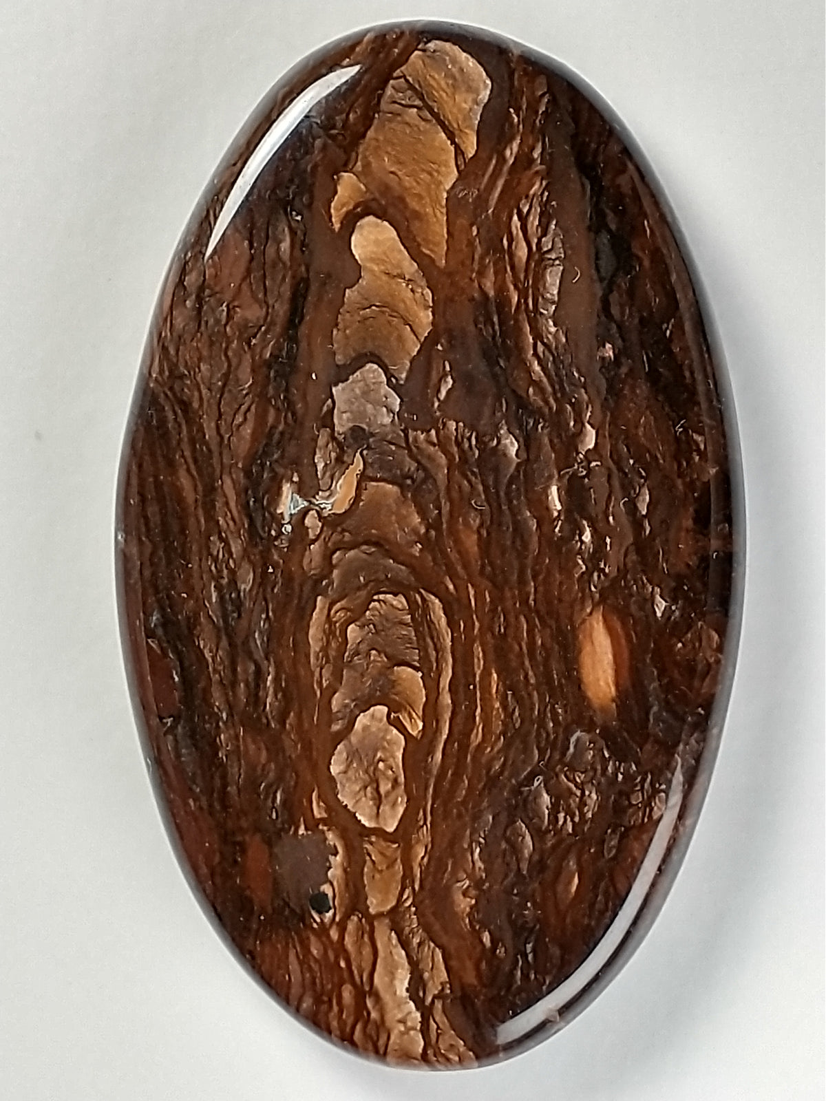 Deschutes Jasper Cabochon Medium