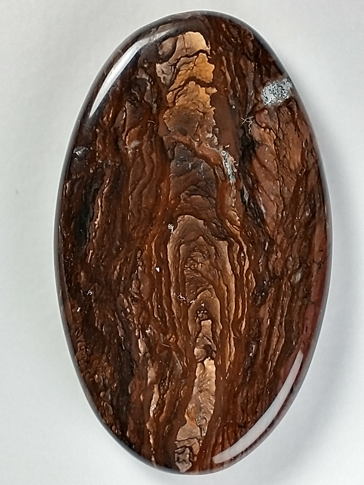 Deschutes Jasper Cabochon Medium