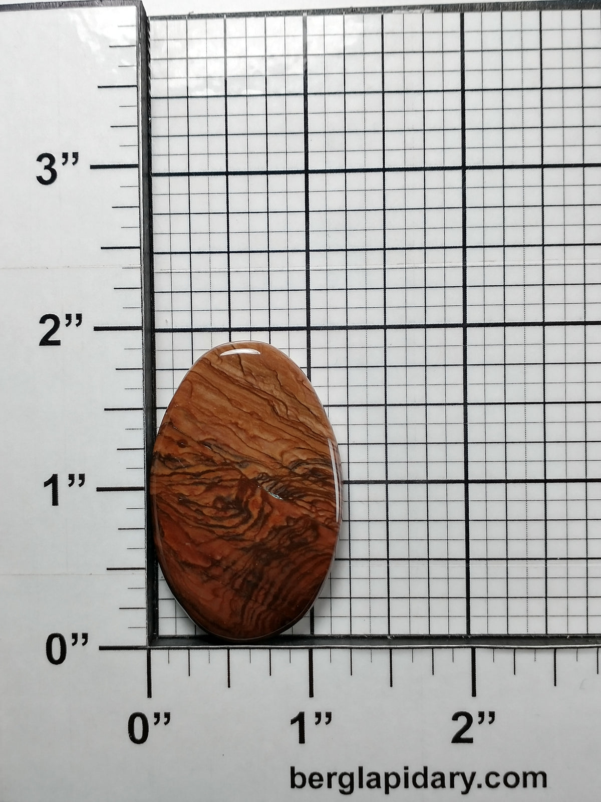 Deschutes Jasper Cabochon Medium