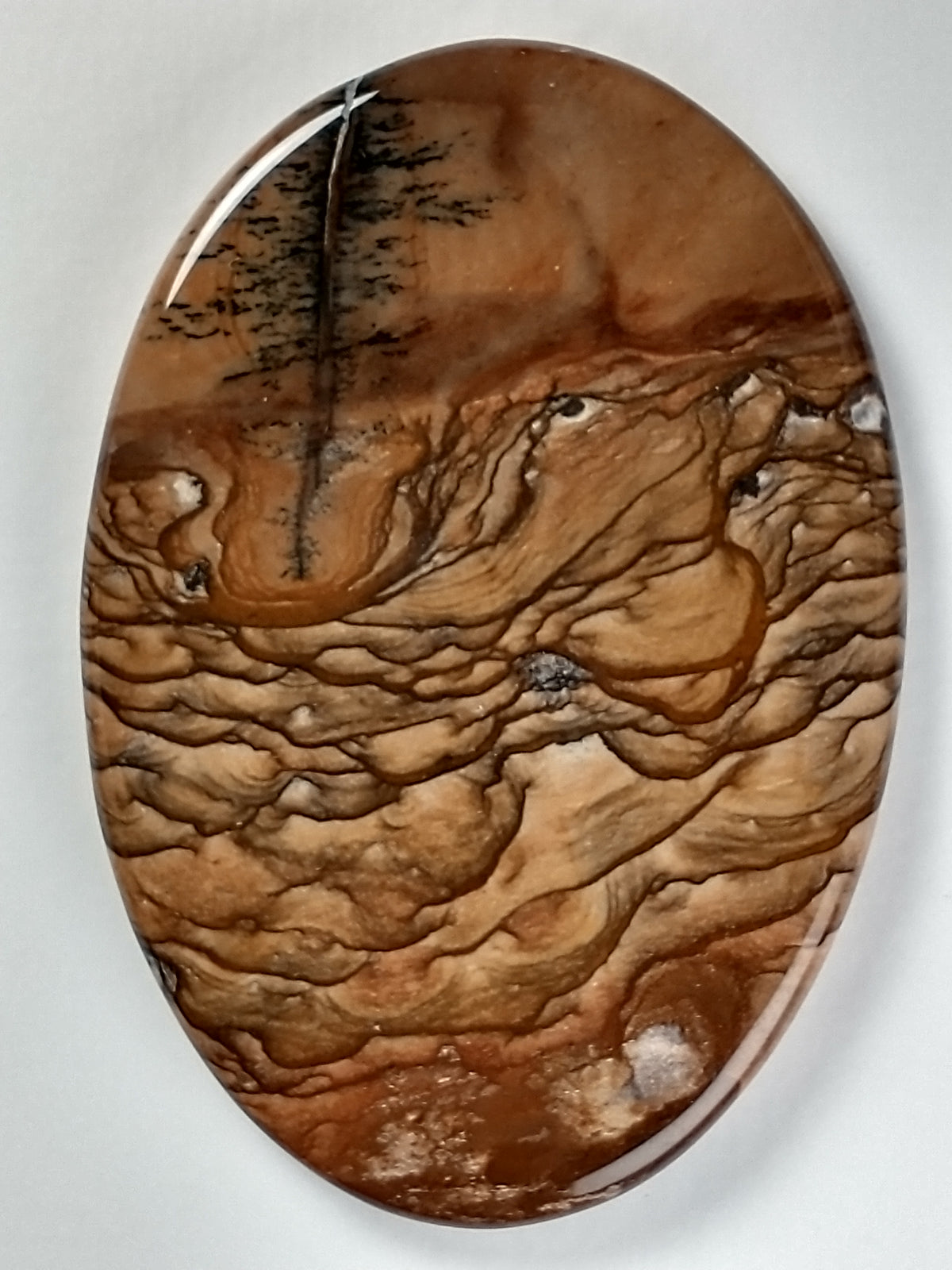 Deschutes Jasper Cabochon Large