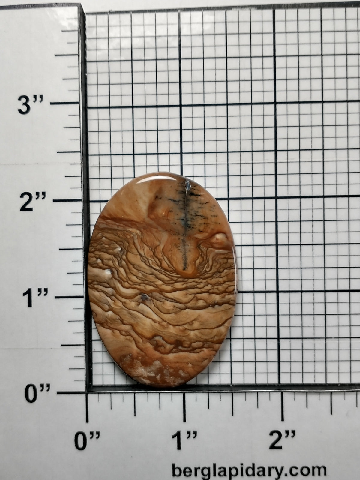 Deschutes Jasper Cabochon Large