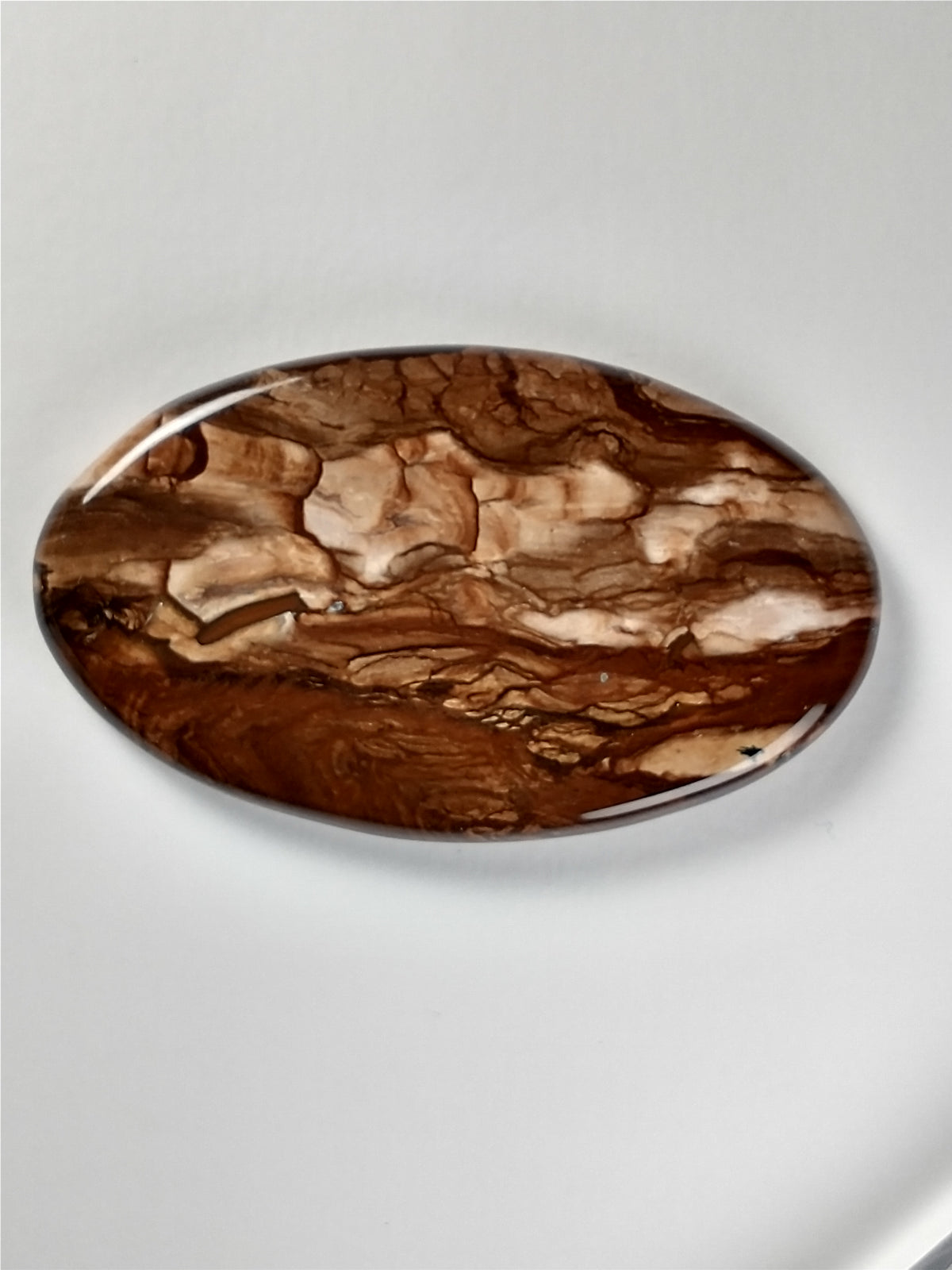 Deschutes Jasper Cabochon Large