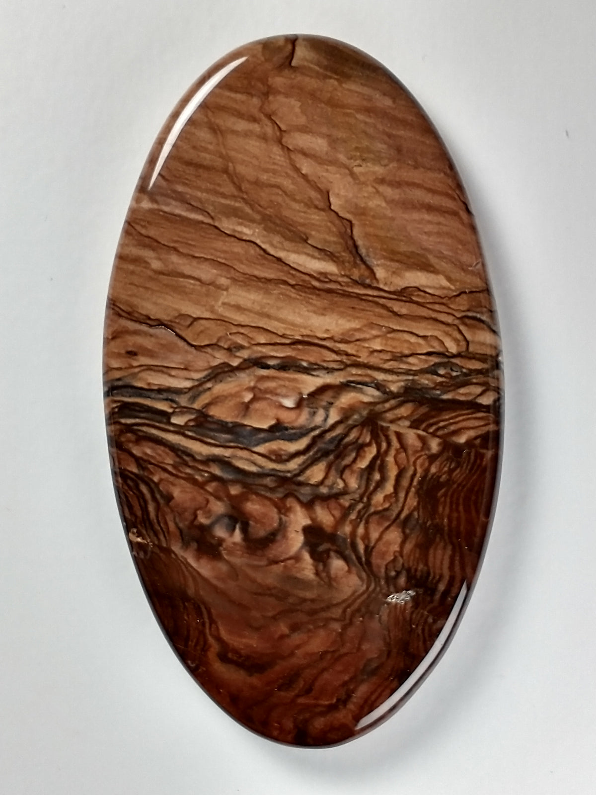 Deschutes Jasper Cabochon X Large