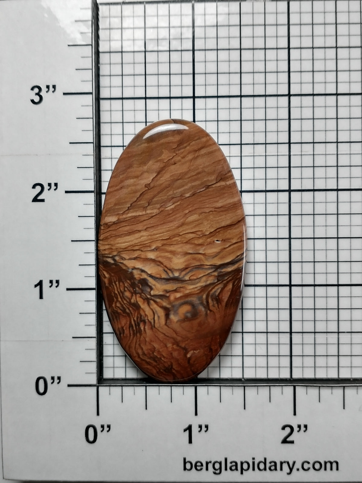 Deschutes Jasper Cabochon X Large