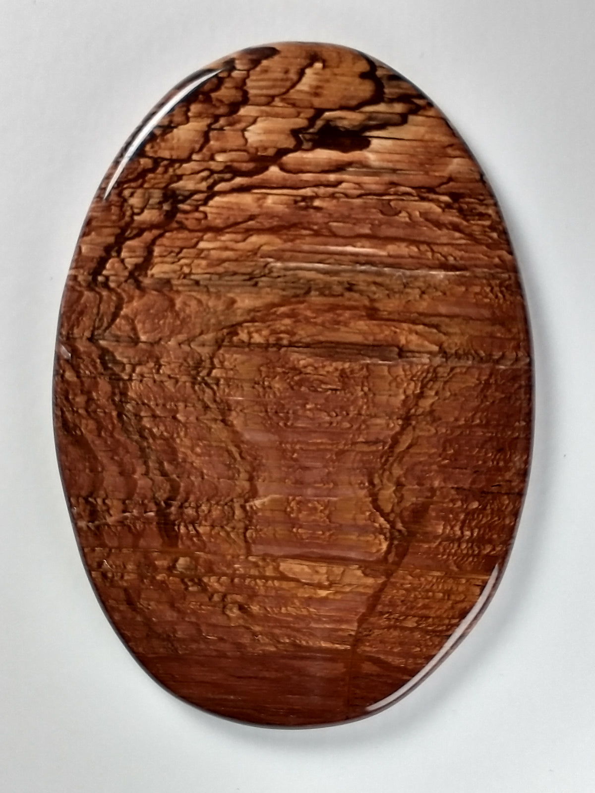 Deschutes Jasper Cabochon X Large