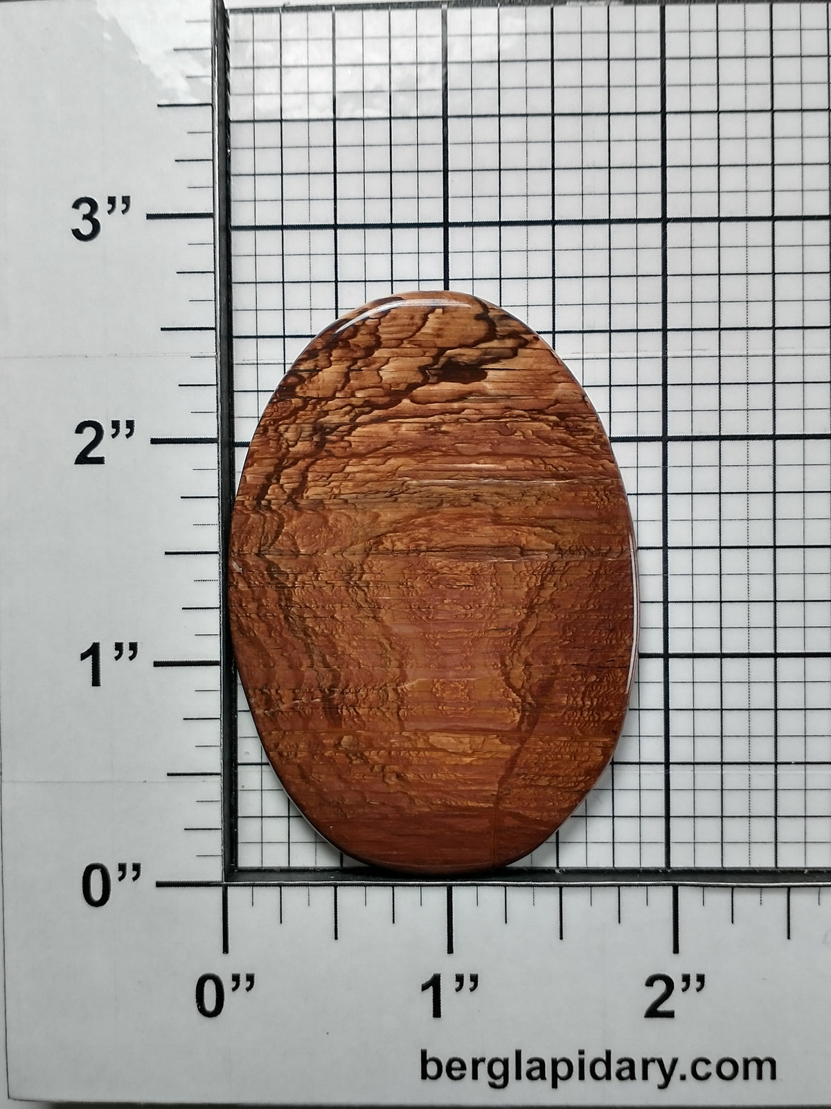 Deschutes Jasper Cabochon X Large