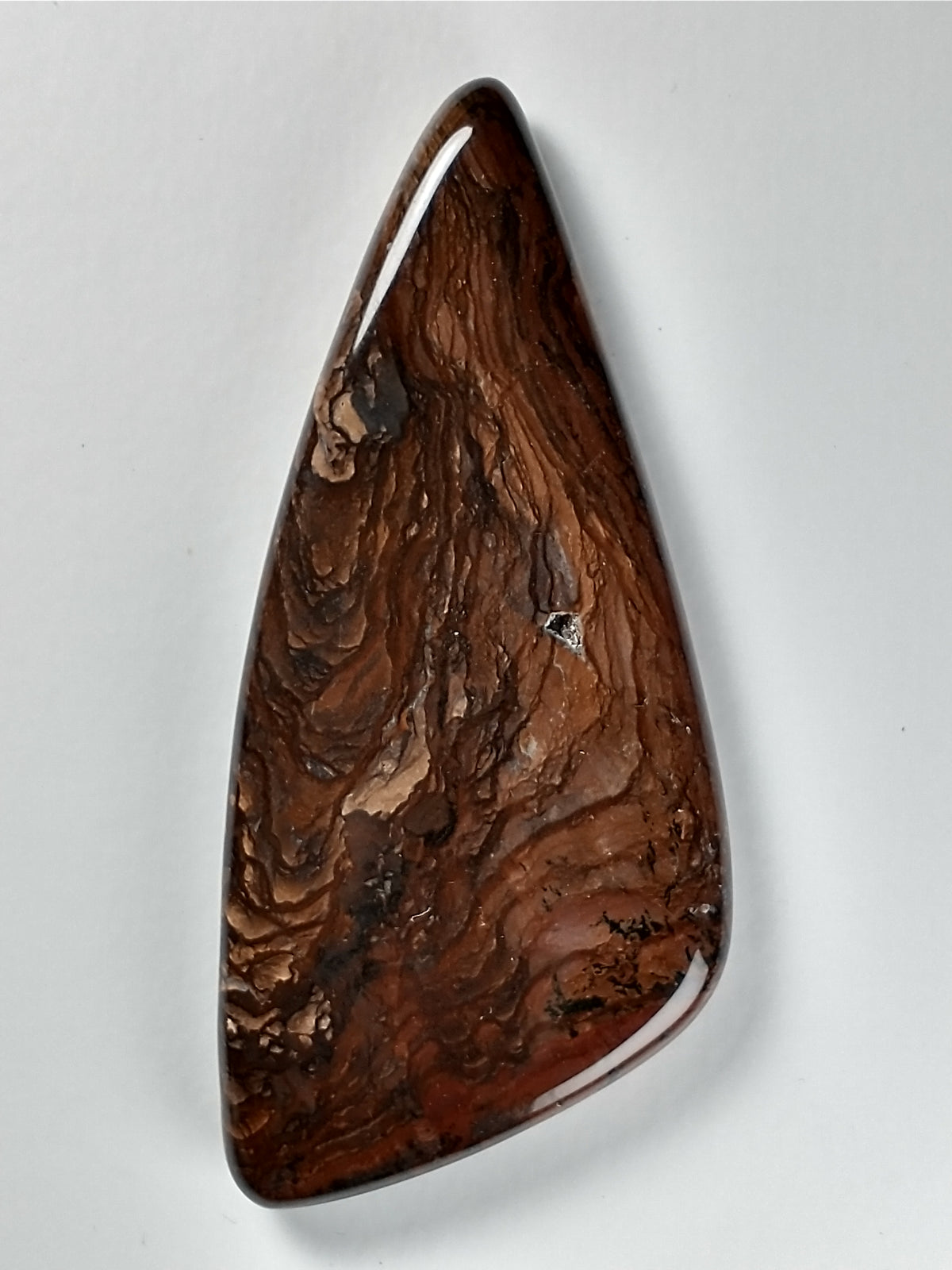 Deschutes Jasper Cabochon X Large