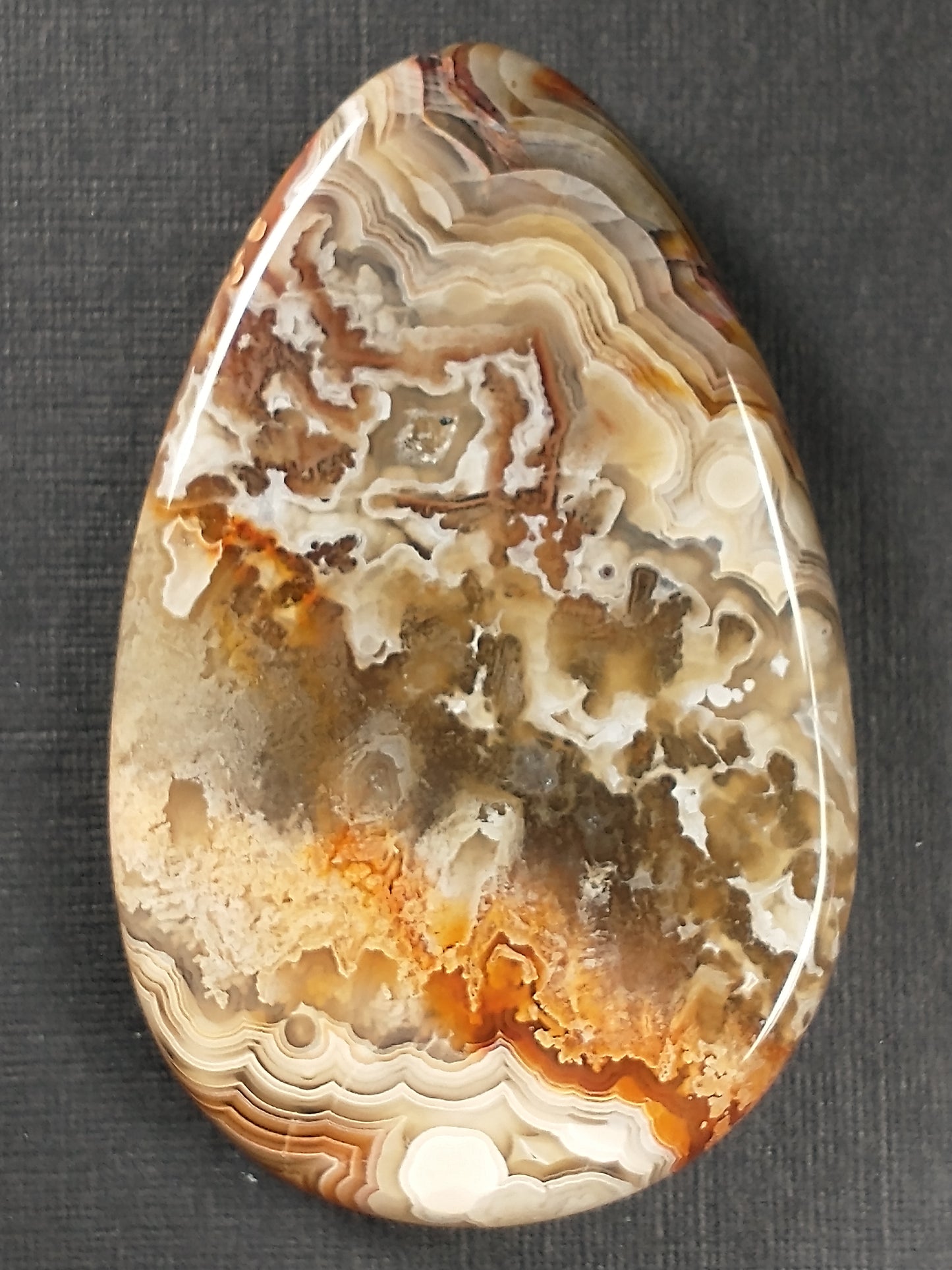 Crazy Lace Agate Cabochon Large