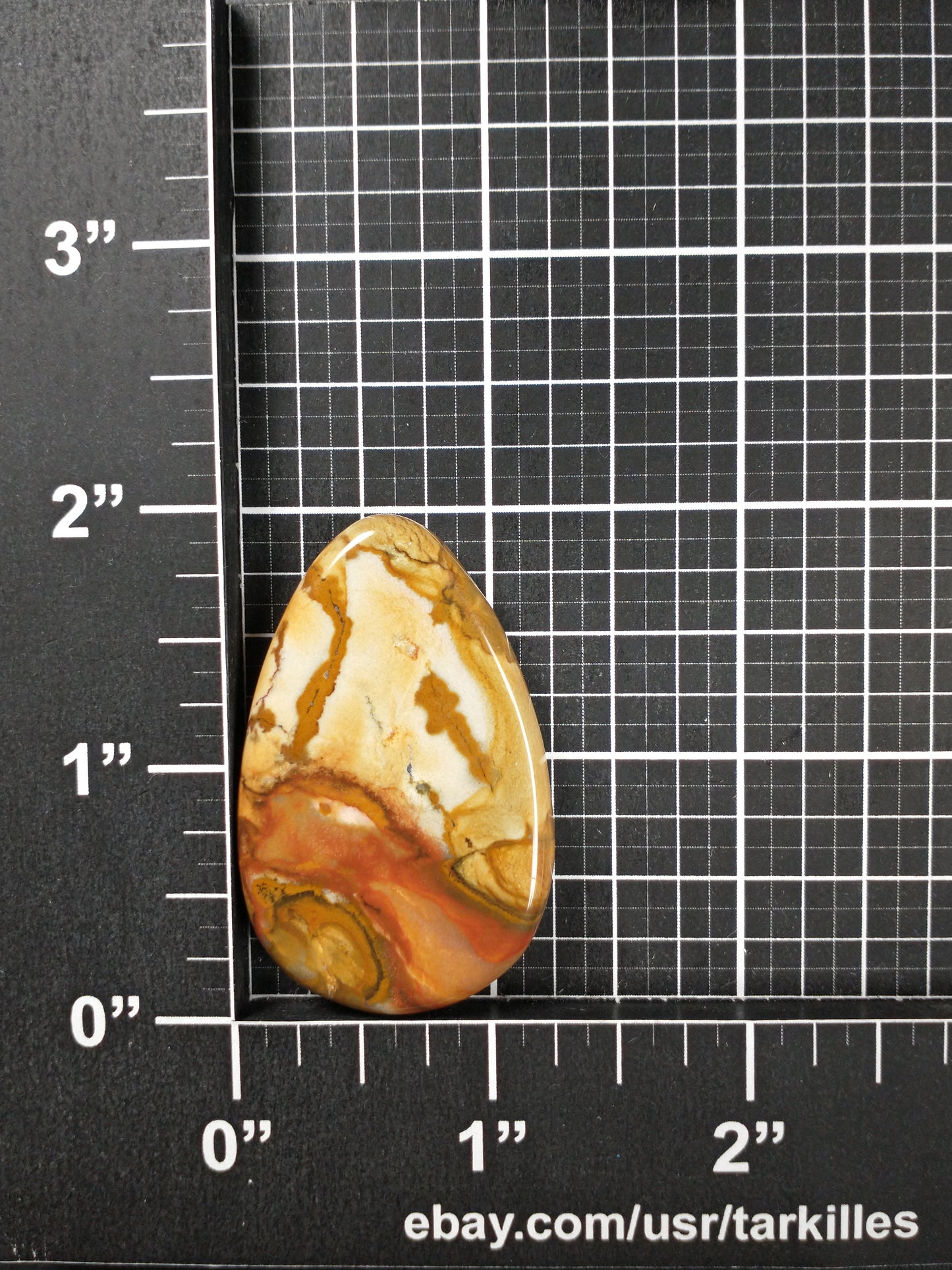 Owyhee Jasper Cabochon Medium