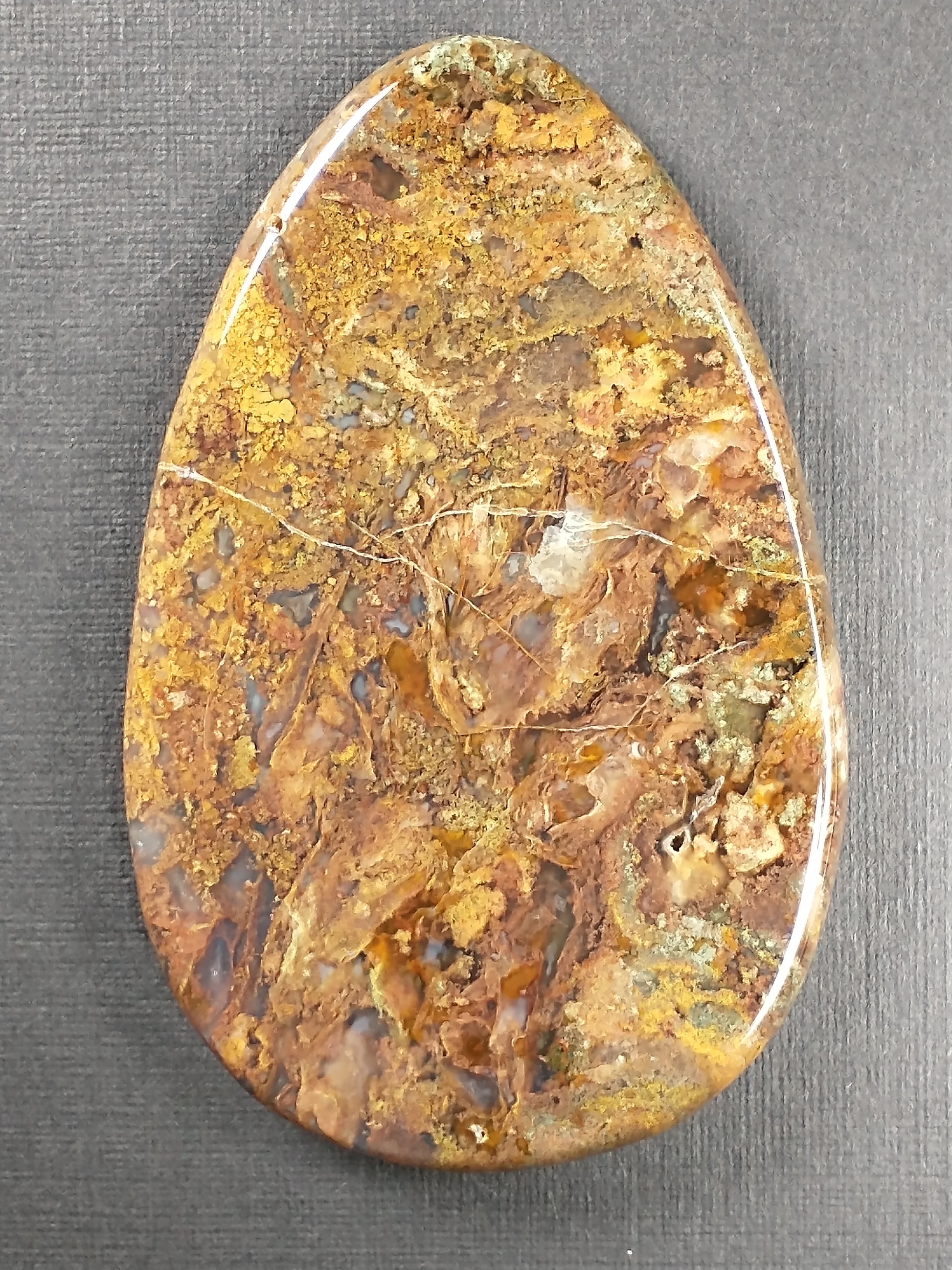 Petrified Wood Cabochon Large