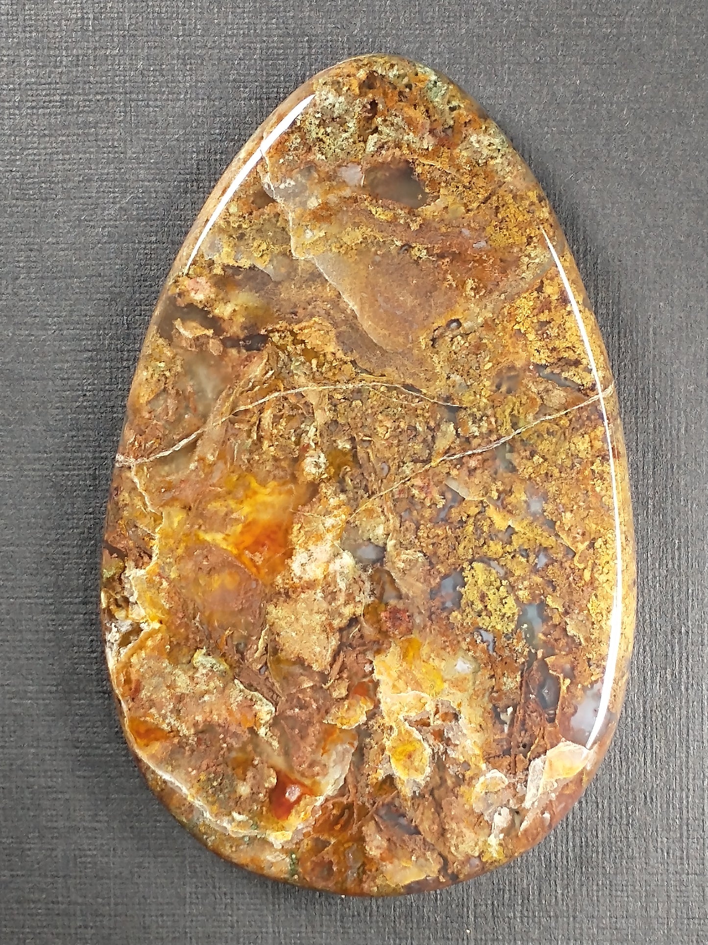 Petrified Wood Cabochon Large